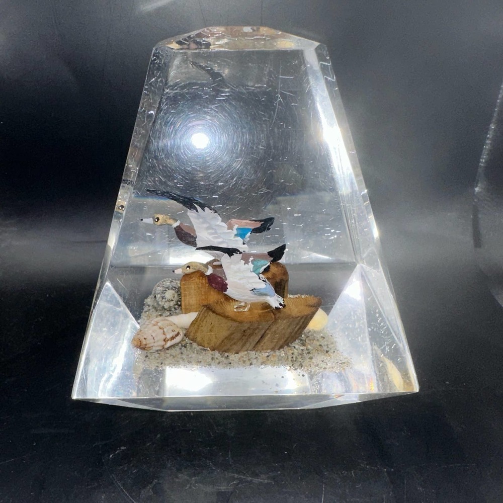 Vintage Lucite Acrylic Ocean Scene Ducks Encased Clear Paperweight